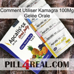 Comment Utiliser Kamagra 100Mg Gelée Orale 11